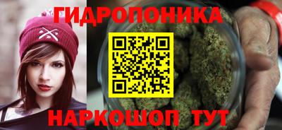 индика Заводоуковск