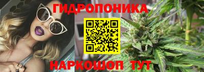 индика Заводоуковск